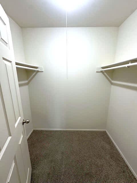 Walk-In Closet in Master Bedroom