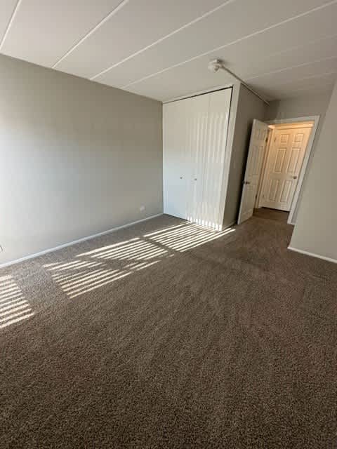Large Bedroom & Hall Linen Closet