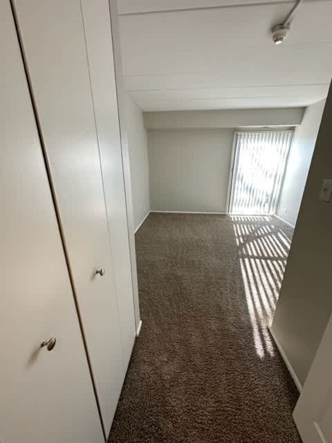 2 Closets in Bedroom With Floor to Ceiling Window