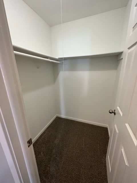 a white room with a carpet and a white door