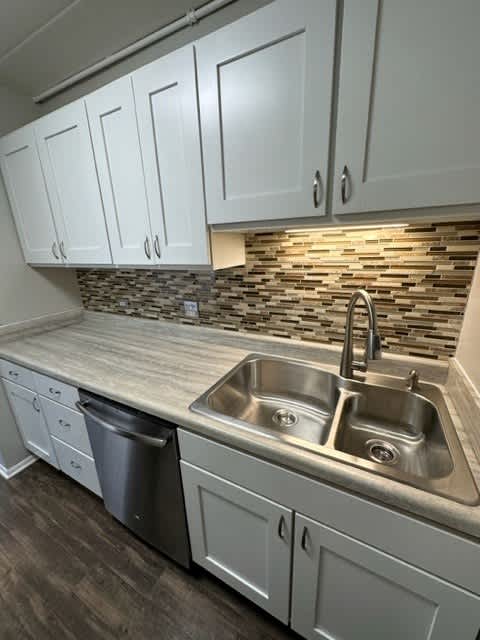 Double Bowl Sink With Upgraded Faucet