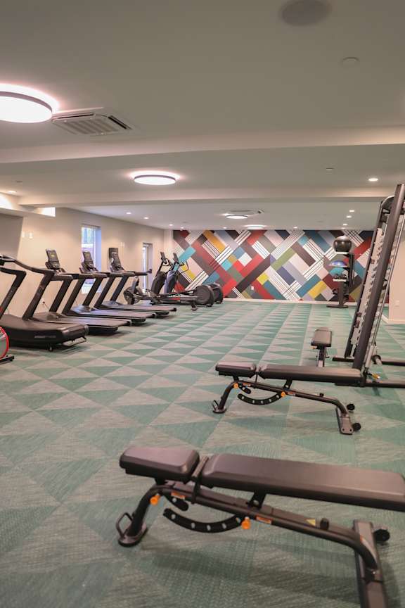 A gym with a variety of equipment including treadmills and rowing machines.