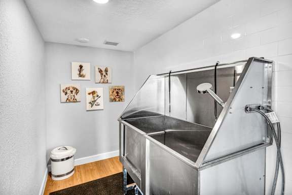 A clean, white bathroom with a toilet, a sink, and pictures of giraffes on the wall.