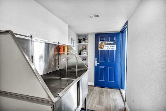 A dog wash station is located in a blue door.