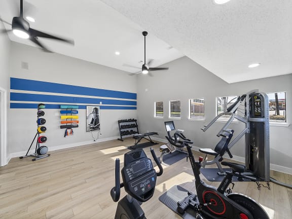 the gym in the owners home has a lot of exercise equipment