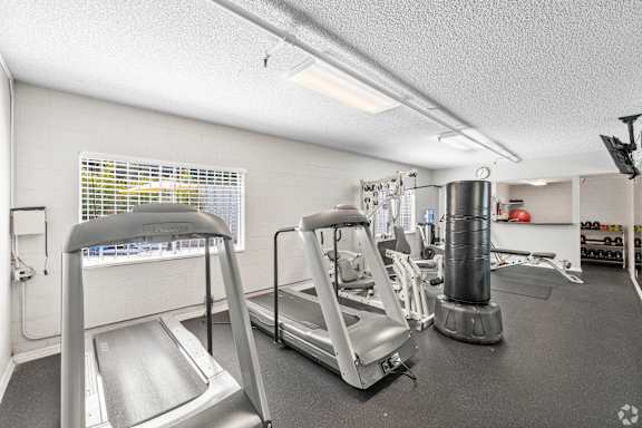A gym with treadmills and elliptical machines.