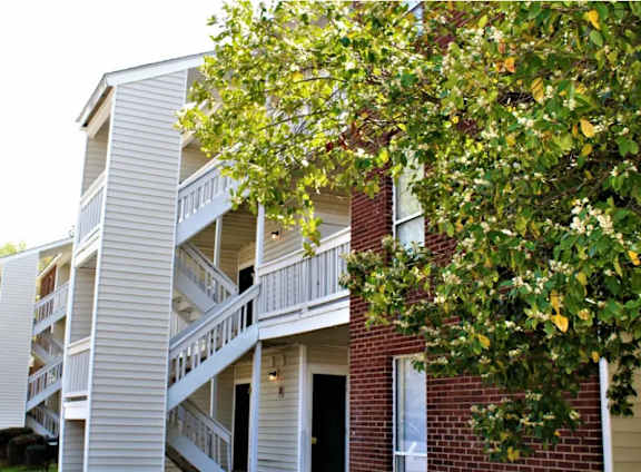 A tree with green leaves is in front of a building.