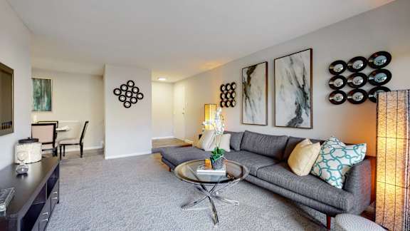 A living room with a grey couch, a coffee table, and a lamp.