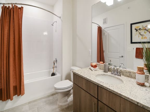 a bathroom with a shower toilet and sink and a mirror