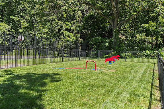 A dog is playing in a yard with a red slide.