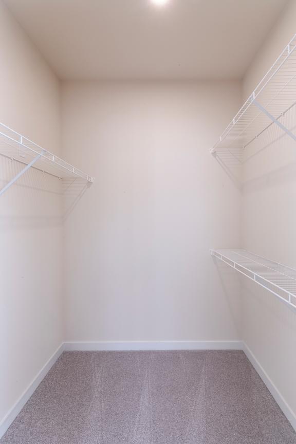 Empty walk-in closet with white shelves and grey carpet.