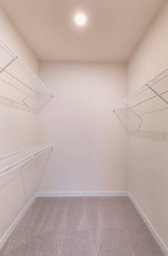 Empty walk-in closet with shelves and carpeted floor.