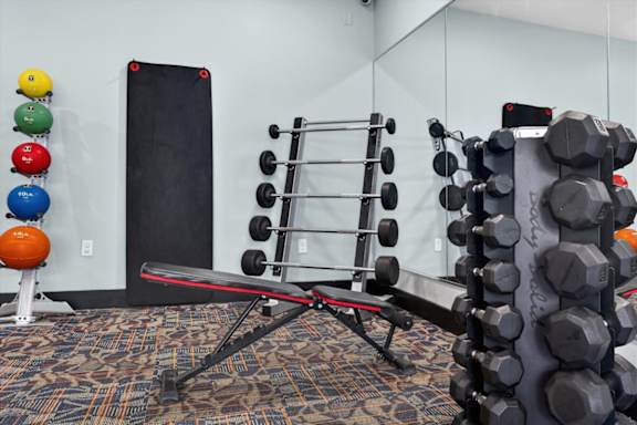 A gym with a bench, weights, and a ball.