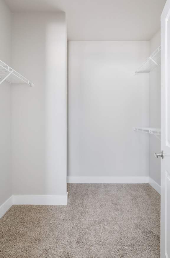 A white closet with a carpeted floor and two white shelves.