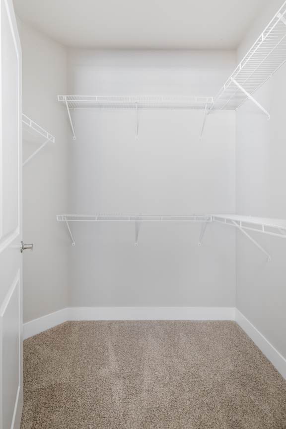 A white closet with a carpeted floor and white walls.