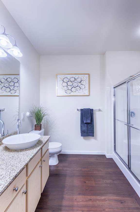 A bathroom with a toilet, sink, and a plant.