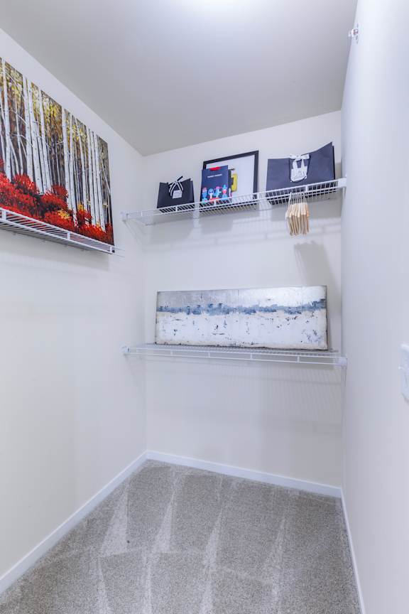 A room with a grey carpet and a white wall with a picture of a forest on it.
