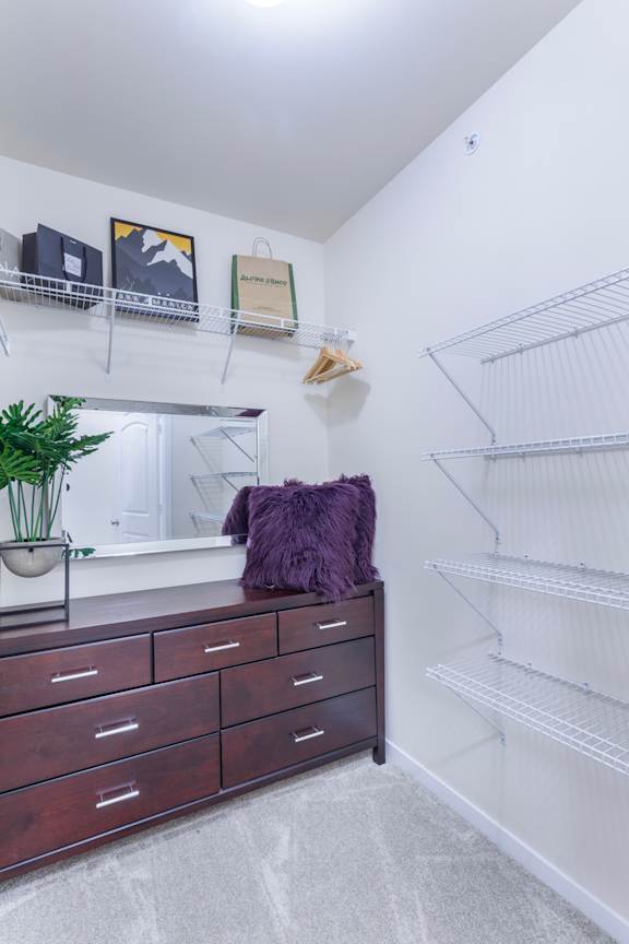 A white wall with a shelf and a plant on it.