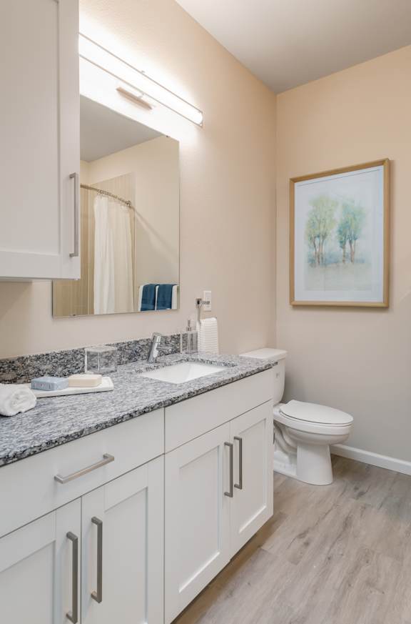 A bathroom with a toilet, sink, and a painting on the wall.
