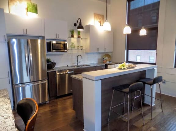 Modern Kitchen With Stainless Steel Appliances And Double Door Refrigerators at Lofts at Euclid, St. Louis, Missouri
