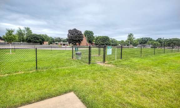 A park with a fence and a tree in the middle.