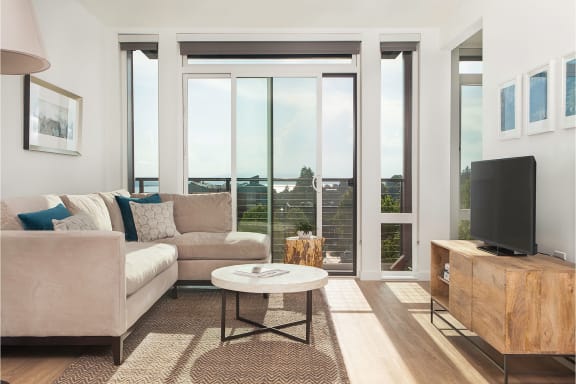 4730 California Apartments Model Living Room and Windows