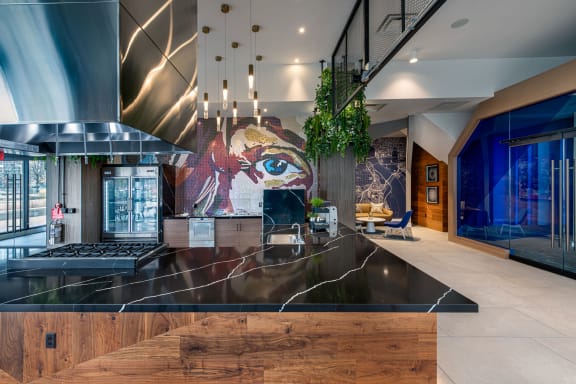 the kitchen has a large mural of a woman on the wall