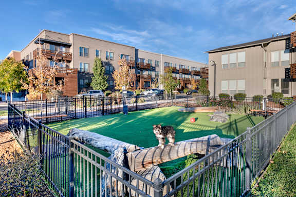 A dog is standing on a bridge in a dog park.