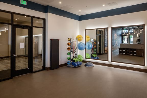 Yoga Room with Ballet Bar
