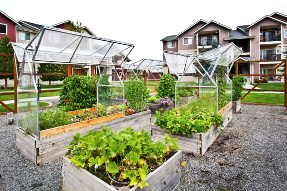 Pine Valley Ranch Apartments Spokane, Washington Outdoor Garden