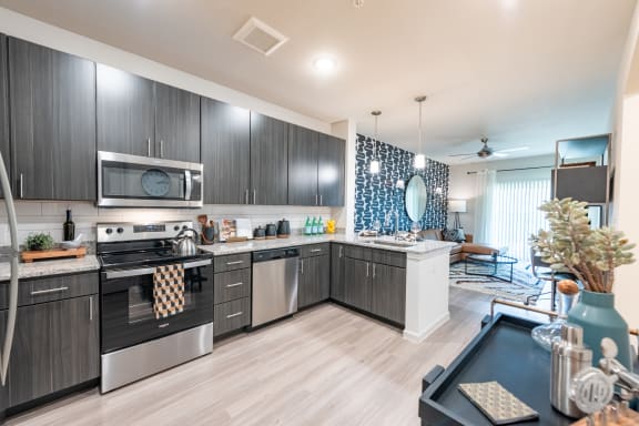 a kitchen with stainless steel appliances and a blue and white patterned wall paper at Avery Ranch, Austin