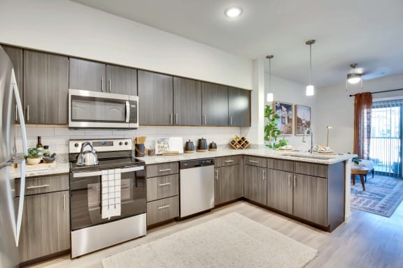 Stainless Steel Appliances at Bridge at Delco Flats, Austin Texas