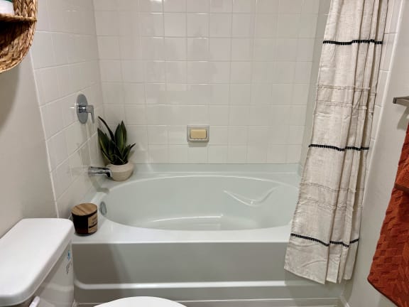 Garden Tubs at Delco Flats, Austin