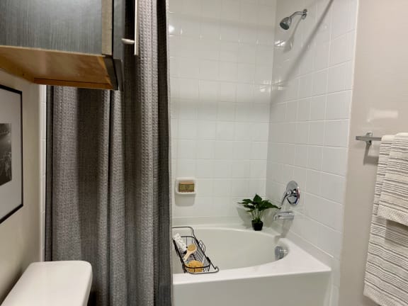 A1 Bathroom