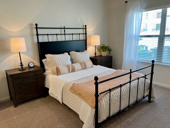 Large Bedroom at Paloma, Texas