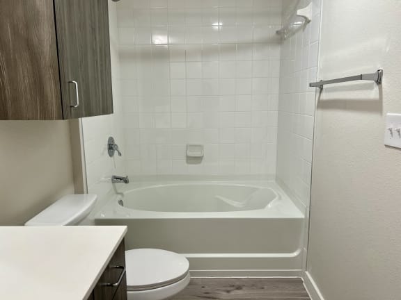 a bathroom with a toilet and a bathtub