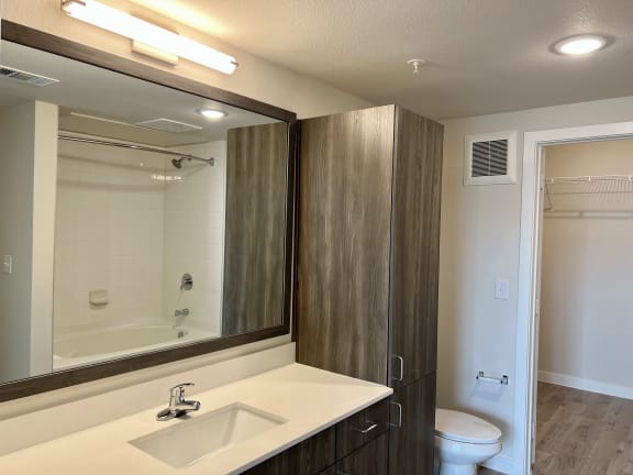 Bathroom with wood grain storage and white countertop at Bridge at Windsor Park Apartments, Austin, TX