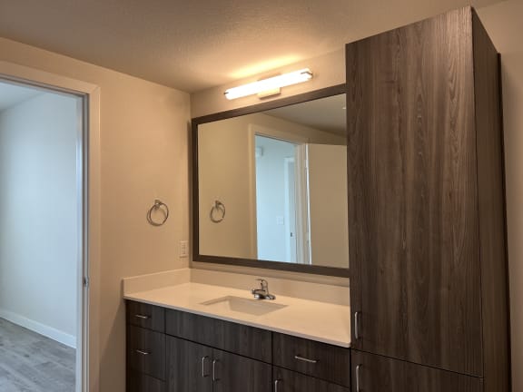 Bathroom vanity with tall linen tower cabinet at Bridge at Windsor Park Apartments, Austin
