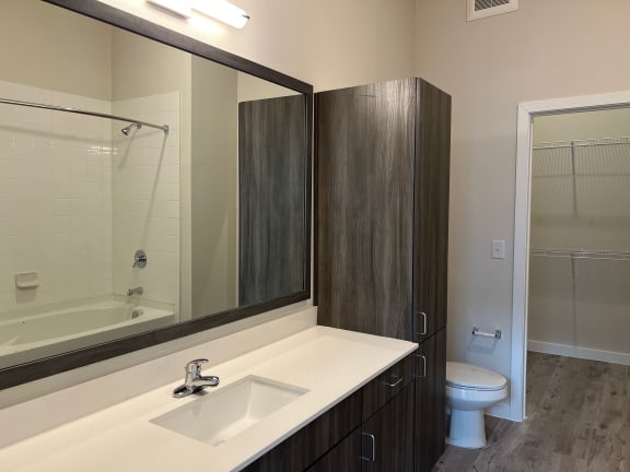 Bathroom vanity with mirror and tall cabinet tower at Bridge at Windsor Park Apartments, Austin, TX 78723
