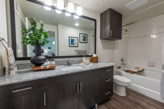 Bath at Bridge at Paloma Apartments, Austin, TX