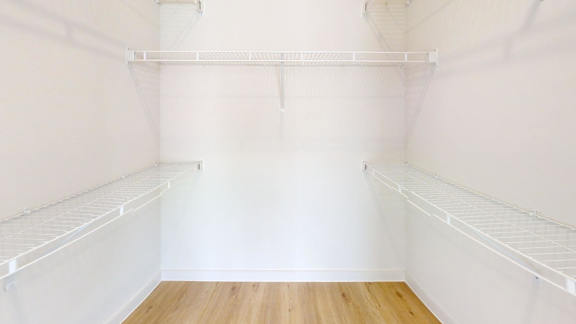 Empty white walk in closet with shelves and wood floors.