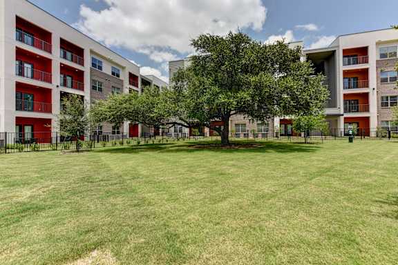 A tree in a grassy area in front of apartment buildings.
