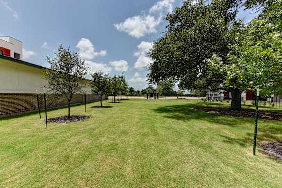 A grassy area with trees and a building in the background.