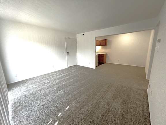 A living room with a grey carpet and a white door.
