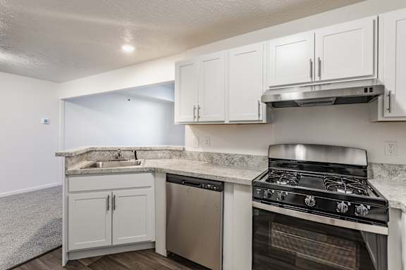 A kitchen with white cabinets and a stainless steel dishwasher and oven