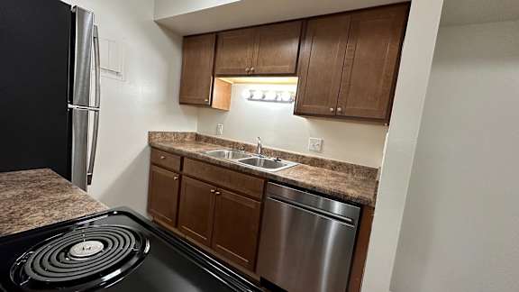 A kitchen with a black fridge, stove, and silver dishwasher.