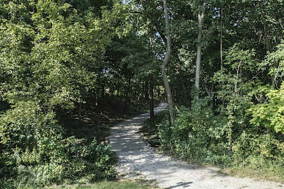 a trail in the woods with trees on both sides  at The Timbers Apartments, Evansville, IN