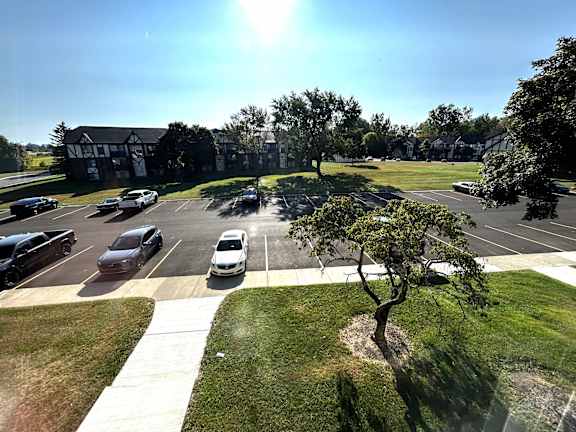 Parking lot and lawn with tree and buildings at Charter Oaks Apartments, Michigan, 48423
