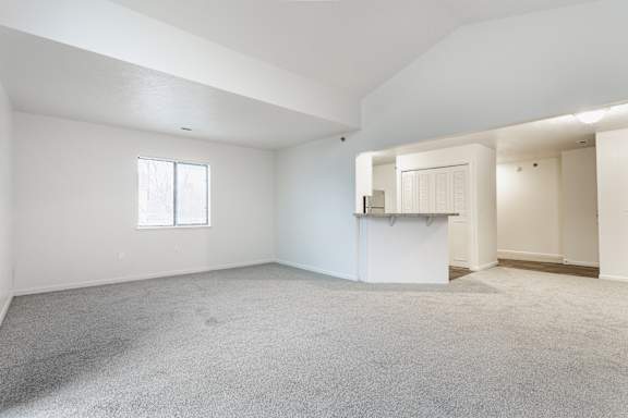 A large empty room with a carpeted floor and a window
