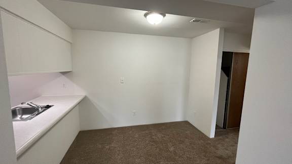 Small kitchen with sink and carpeted open layout at Charter Oaks Apartments, Davison, 48423